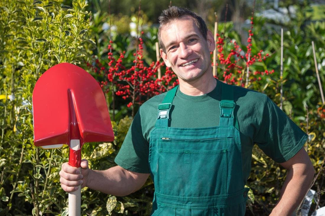 McAllen Landscaping Pros About