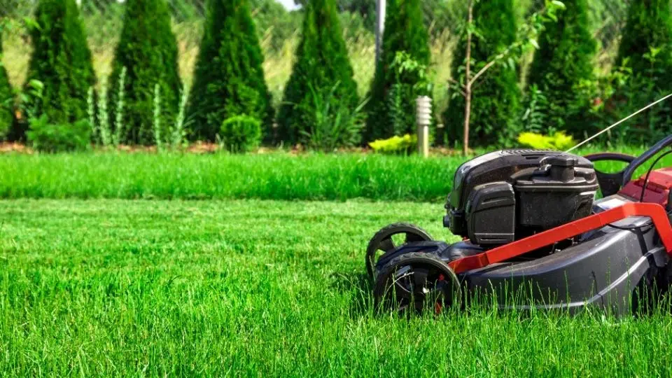 lawn care mcallen tx