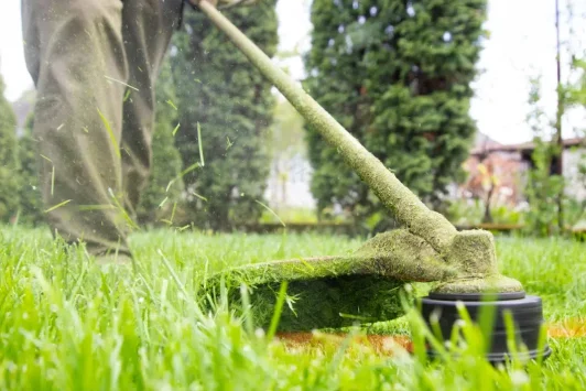 Lawn Fertilizer