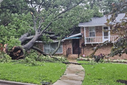 Storm Damage Cleanup