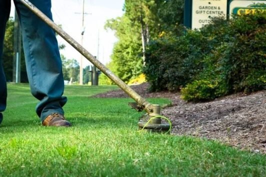 landscape maintenance mcallen tx