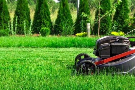 lawn care mcallen tx