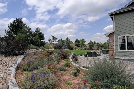 xeriscaping mcallen texas